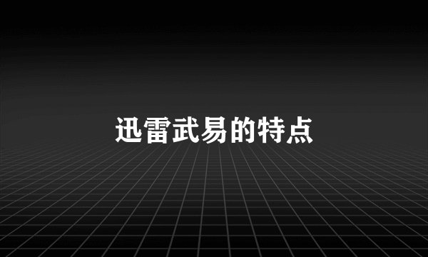 迅雷武易的特点
