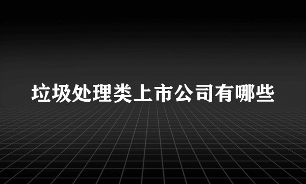 垃圾处理类上市公司有哪些