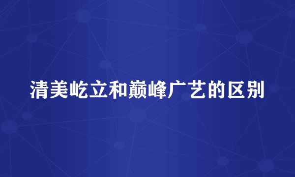 清美屹立和巅峰广艺的区别