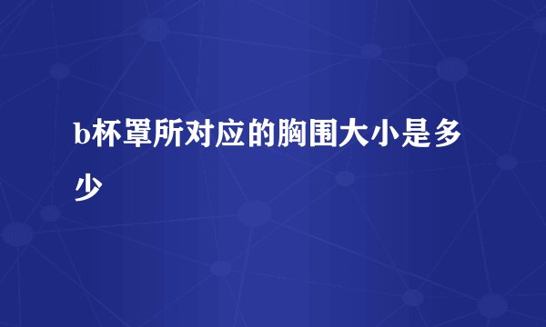 b杯罩所对应的胸围大小是多少