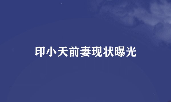 印小天前妻现状曝光