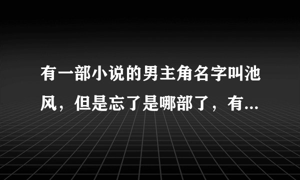 有一部小说的男主角名字叫池风，但是忘了是哪部了，有人知道吗？