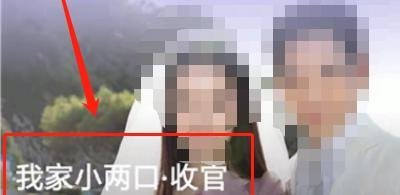 芒果tv弹幕怎么没有了?