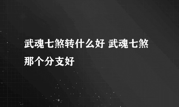 武魂七煞转什么好 武魂七煞那个分支好