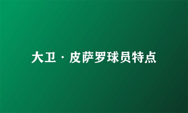 大卫·皮萨罗球员特点