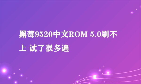 黑莓9520中文ROM 5.0刷不上 试了很多遍