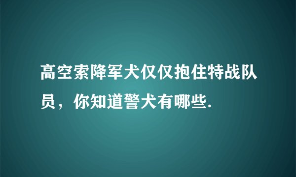 高空索降军犬仅仅抱住特战队员,你知道警犬有哪些.