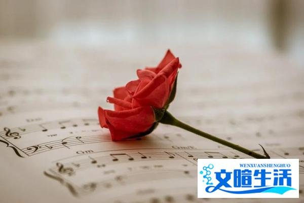 「小学英语」英语章节书引入，这4点你做到了吗？（ 第20231009号家庭落实日记复盘）