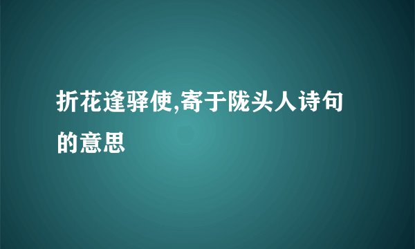 折花逢驿使,寄于陇头人诗句的意思