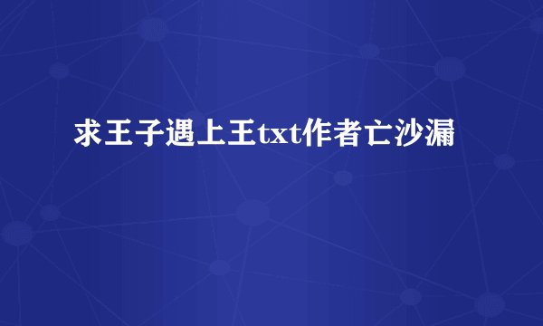 求王子遇上王txt作者亡沙漏
