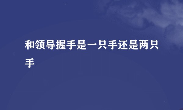 和领导握手是一只手还是两只手