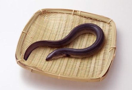 清煮黄鳝要多久才能杀死寄生虫