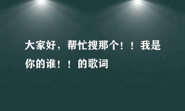 大家好，帮忙搜那个！！我是你的谁！！的歌词