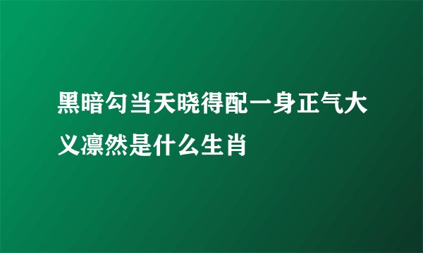 黑暗勾当天晓得配一身正气大义凛然是什么生肖