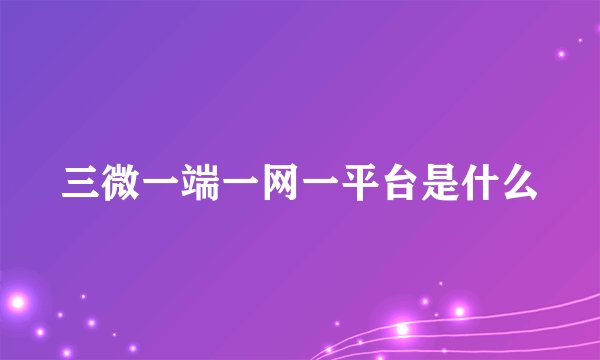 三微一端一网一平台是什么