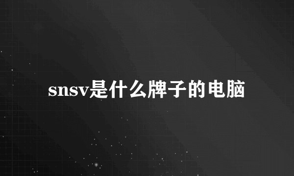 snsv是什么牌子的电脑