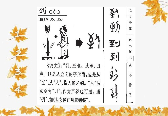 到的偏旁部首是什么