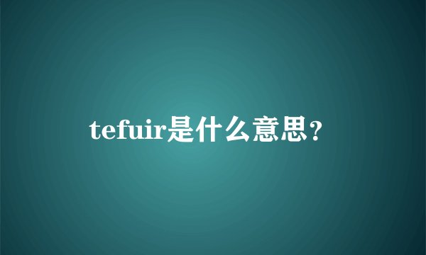tefuir是什么意思？