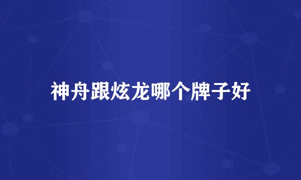 神舟跟炫龙哪个牌子好