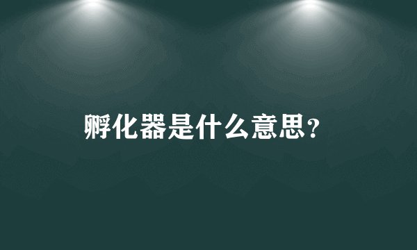 孵化器是什么意思？