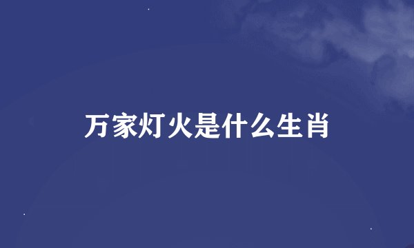 万家灯火是什么生肖