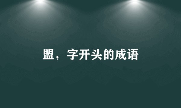 盟，字开头的成语