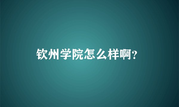 钦州学院怎么样啊?