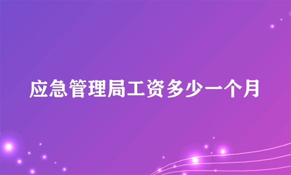 应急管理局工资多少一个月
