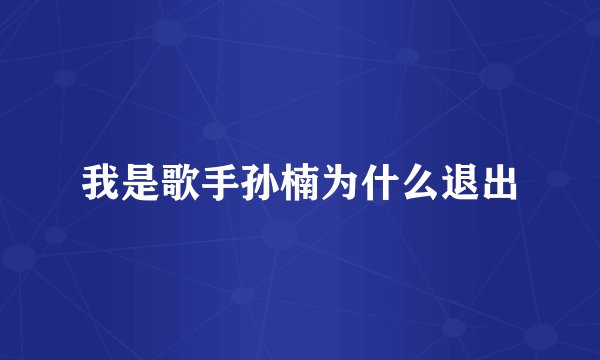 我是歌手孙楠为什么退出