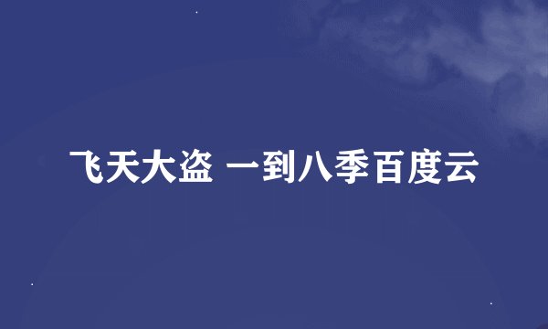 飞天大盗 一到八季百度云