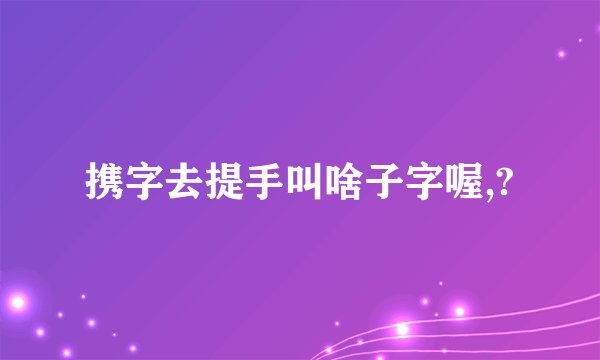 携字去提手叫啥子字喔,?