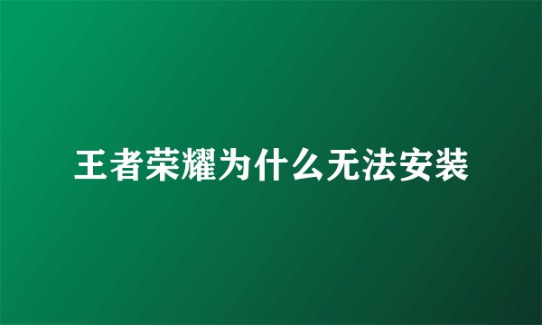 王者荣耀为什么无法安装