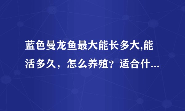 蓝色曼龙鱼最大能长多大,能活多久，怎么养殖？适合什么样的水温，和其它小鱼在一起可以同时为样吗？谢谢！