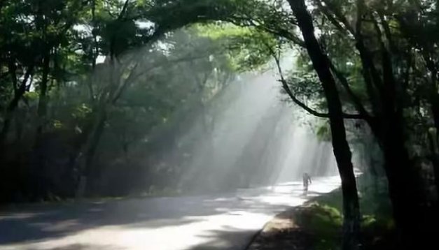 沈阳棋盘山风景区的门票是多少？
