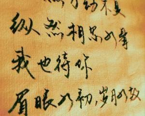 “纵然万劫不复，纵然相思入骨，我也待你眉眼如初，岁月如故”出自哪里？