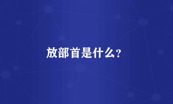 放部首是什么？