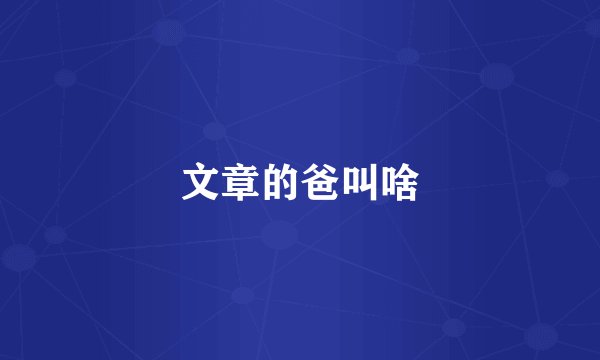 文章的爸叫啥