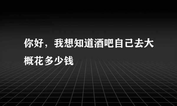 你好，我想知道酒吧自己去大概花多少钱