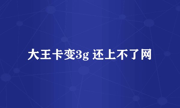 大王卡变3g 还上不了网