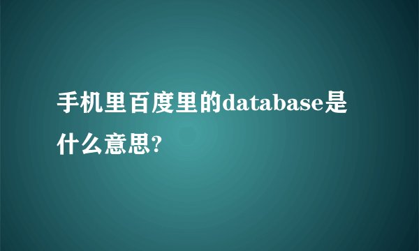 手机里百度里的database是什么意思?