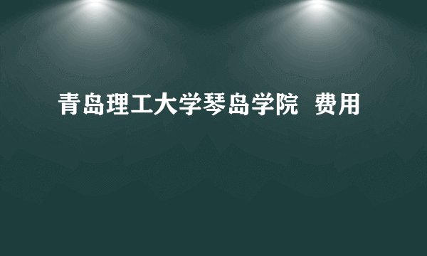 青岛理工大学琴岛学院  费用