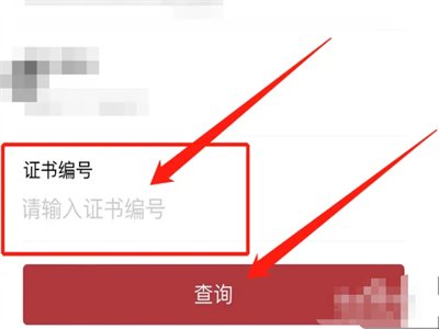 高中毕业证号码怎么查询