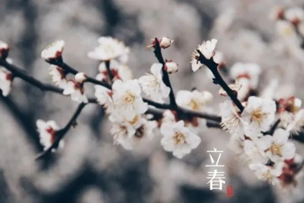2023年天坑在哪个方位？