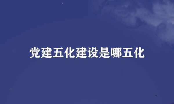 党建五化建设是哪五化