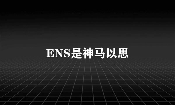 ENS是神马以思