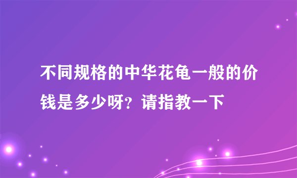 不同规格的中华花龟一般的价钱是多少呀？请指教一下
