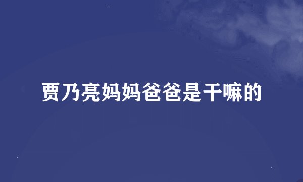 贾乃亮妈妈爸爸是干嘛的
