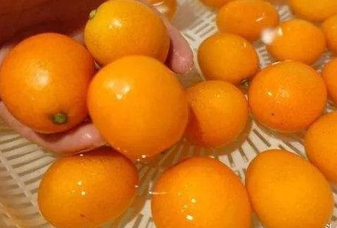 用蜂蜜怎么腌制金桔