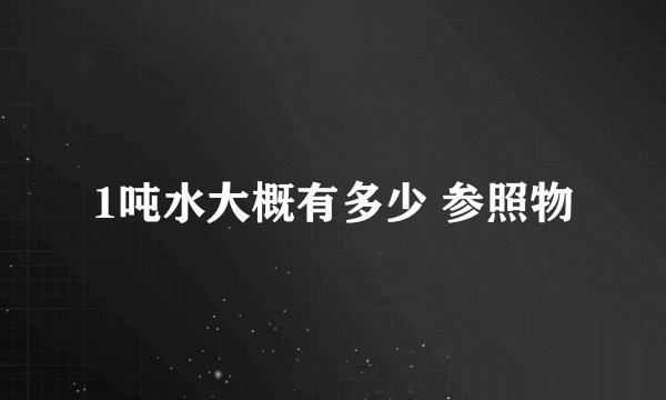1吨水大概有多少 参照物