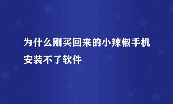 为什么刚买回来的小辣椒手机安装不了软件